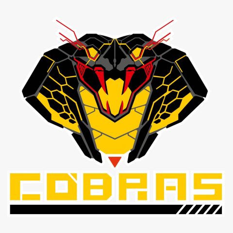 GOLDEN COBRAS (U12B)