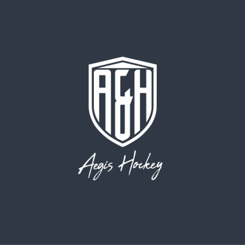 AEGIS HOCKEY (U12B)